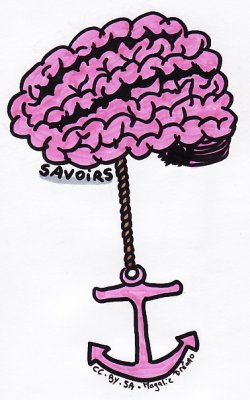 Image du module M2.4 Ancrer les savoirs et faire monter son groupe en compétences