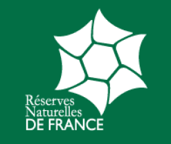 image logo.png (4.0kB)